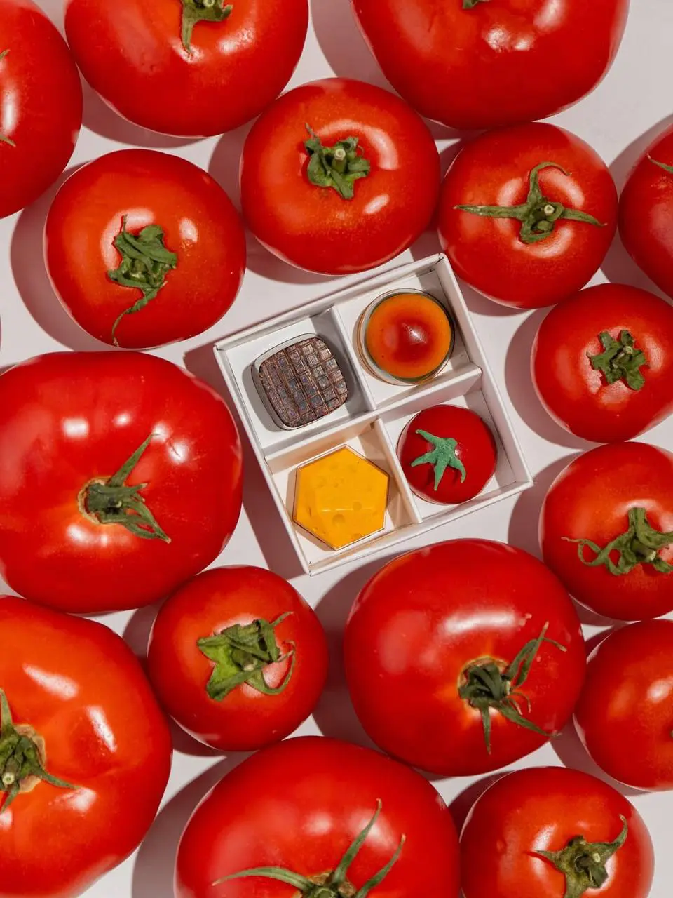 БЮРО х Птицы х Snap